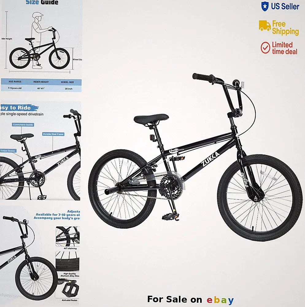 20 Inch Freestyle BMX Bike for Kids Boys Girls Single Speed Rear Brake