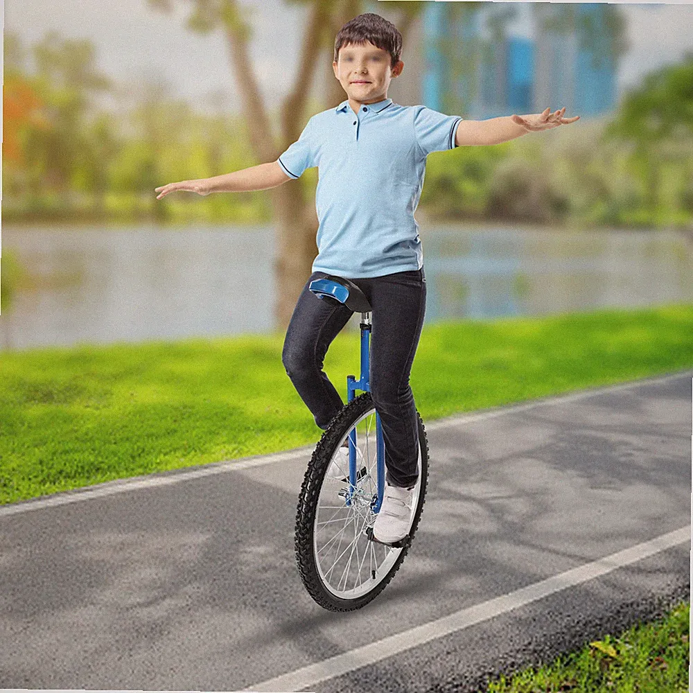 High Carbon Steel Unicycle