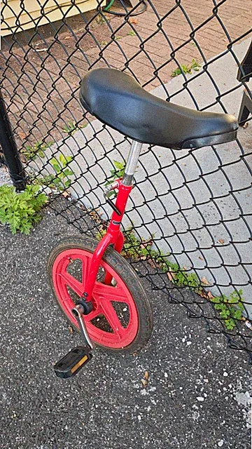 Adolescent Unicycle