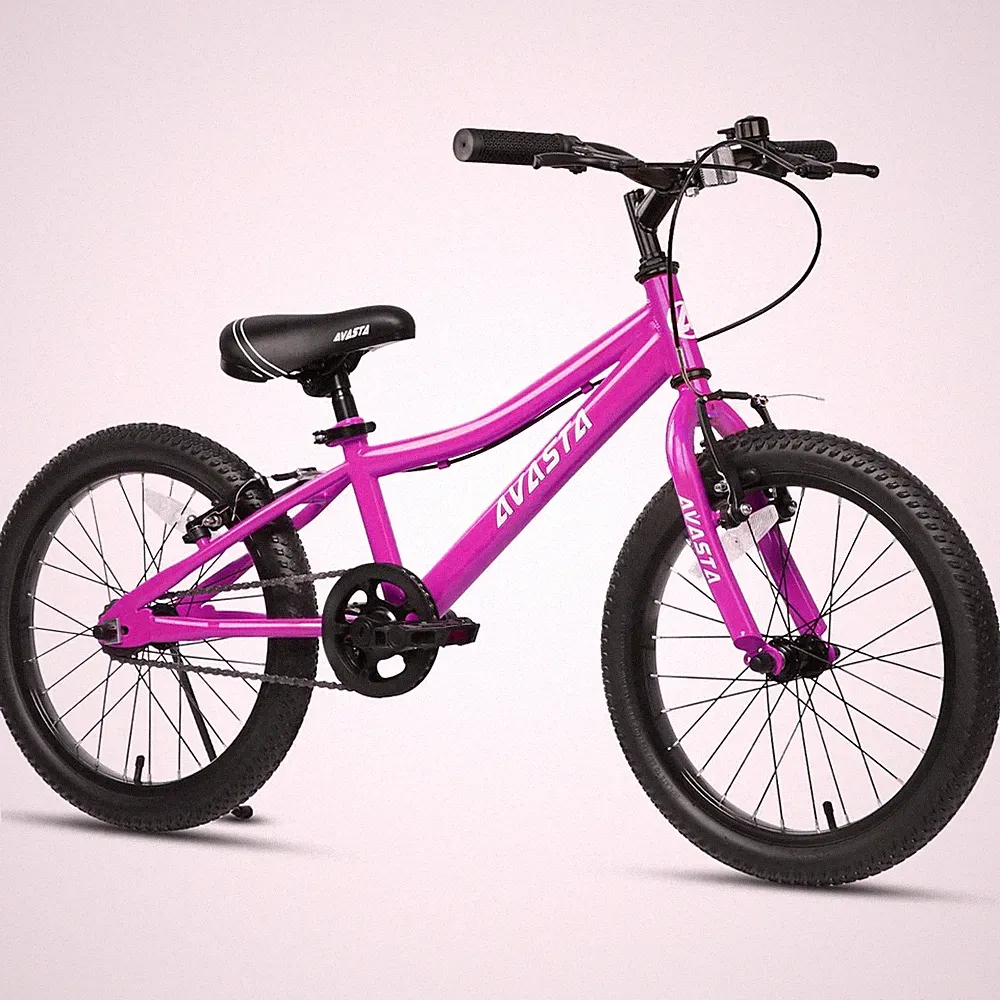 AVASTA Bilbo 20 Inch Kids Bike for Boys Girls 6 7 8 9 10 Years Old, Retro Sty...