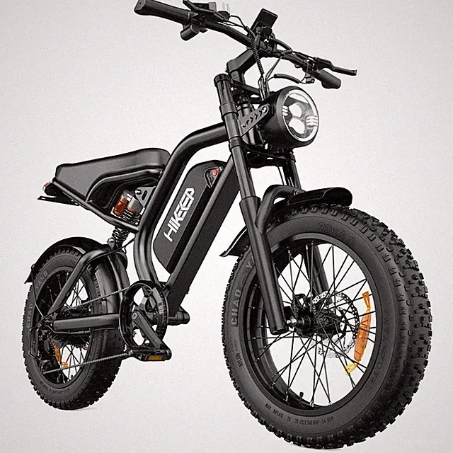 Hikeep 1000W Peak Electric Mountain Bike 20" Fat Tire E-Bike 48V 15Ah for Adults