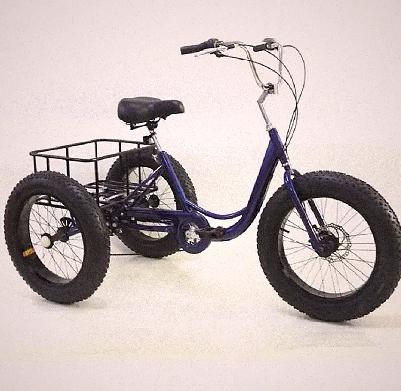 Lanying High Carbon Steel 20in Fat Tire 7 Speed Tricycle Bike Bicycle
