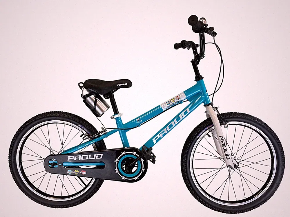 PROUD Kids Bike for Boy/Girls Bicycle without Training Wheels 20 Inch 6-10 years