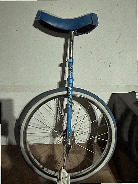 Unicycle
